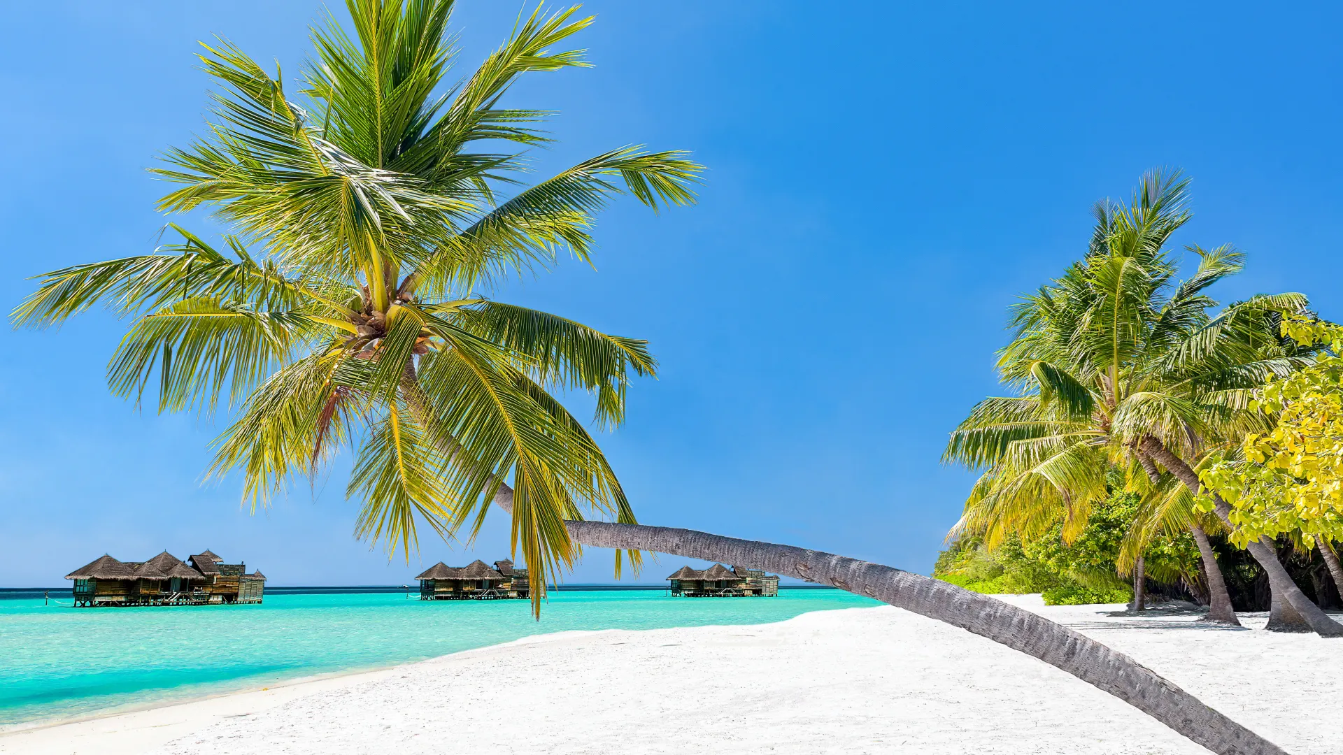 An insider's guide to the best islands to visit in the maldives
